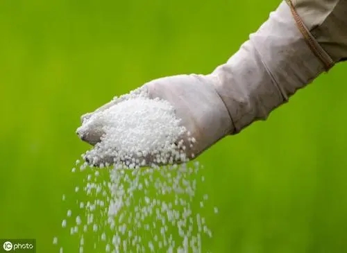 3氮6磷8月鉀10月有機肥當(dāng)家