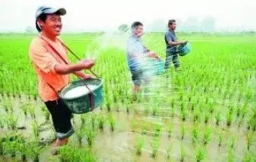 中央一號文件來了 加快農(nóng)業(yè)農(nóng)村現(xiàn)代化！連續(xù)18年聚焦三農(nóng)