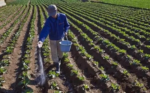 玉米市場正在從低價低量平衡向適中平衡轉(zhuǎn)變